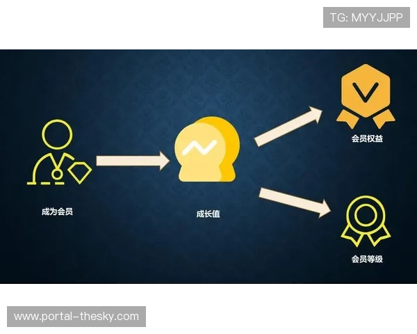 订阅会员体系引入分层权益设计，提升用户付费意愿与留存率