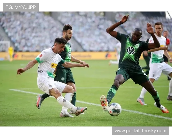 德甲亚洲版权售出新高，中国区转播费增长20%